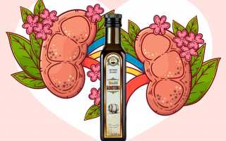 Как лечить почки в домашних условиях