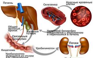 Что такое билирубин?