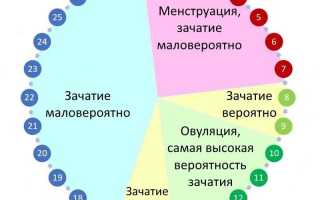 Можно ли забеременеть на двенадцатый день цикла