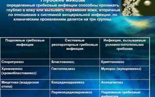 Поверхностные микозы виды возбудителей и классификация