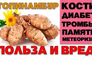 Земляная груша – топинамбур Полезные свойства