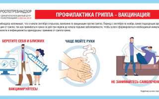 Простуда и профилактика: полезные советы