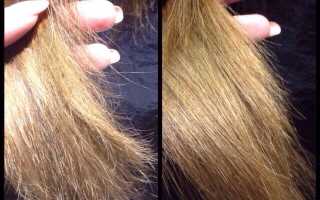 Как избавиться от секущихся кончиков в домашних условиях