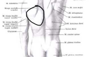 Проблематика и решение боли с левой стороны спины