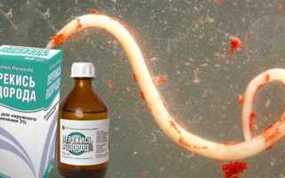 Народные средства для избавления от глистов: эффективные методы и рекомендации