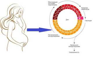 Можно ли забеременеть во время менструального цикла