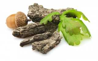 Кора дуба лечебные свойства