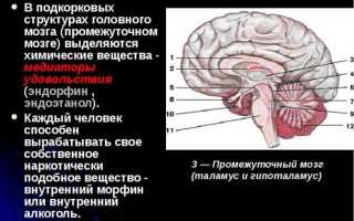 Каковы обычные причины, симптомы и методы лечения раздражения коры головного мозга?