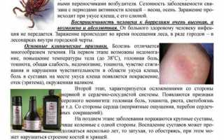 Симптомы после укуса клеща