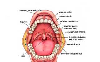 Способы лечения и смягчения воспаления слюнной железы