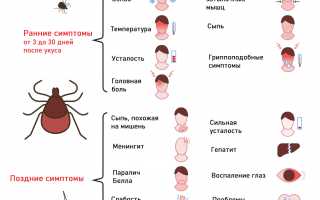 Симптомы при укусе клеща