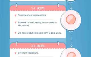 Признаки беременности на первом месяце