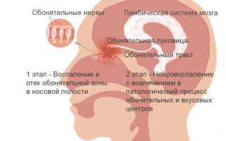 Обострение обоняния причины у женщин
