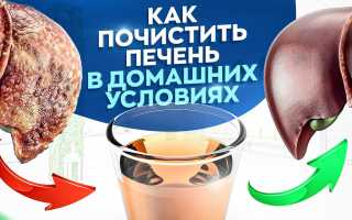 Как лечить печень в домашних условиях