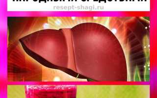 Лечение печени народными средствами