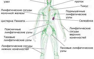 Симптомы рака лимфоузлов