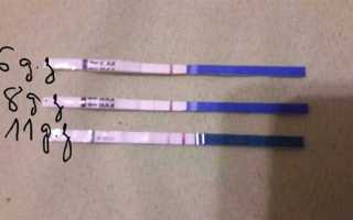 Все симптомы беременности, а тест отрицательный