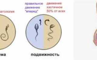 Влияет ли простатит у мужчины на возможность забеременеть?