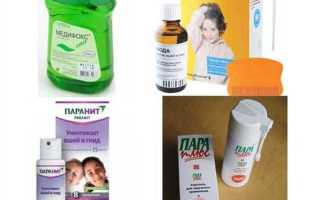 Как избавиться от гнид в домашних условиях