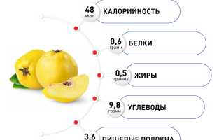 Айва японская полезные свойства