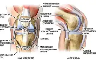 Как лечить связки коленного сустава