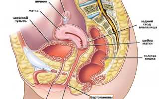 Почему во время месячных больно ходить в туалет?