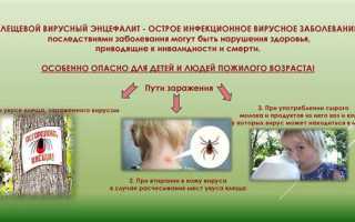 Симптомы клещевого энцефалита у детей