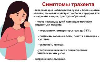 Лечение трахеита: эффективные методы и рекомендации