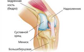 8 причин боль в колене при сгибании