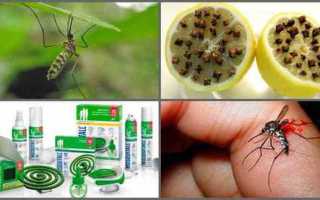 Как избавиться от укусов комаров в домашних условиях