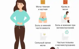 Симптомы хронического цистита