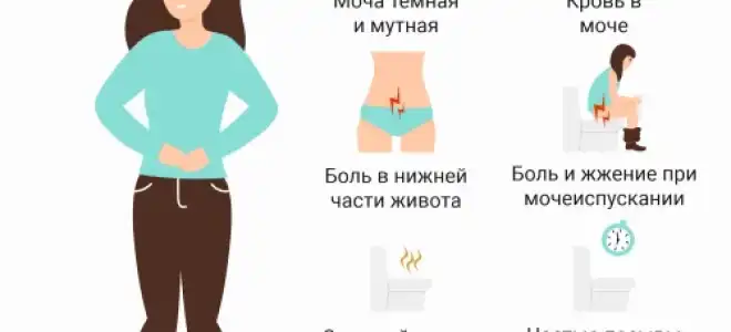 Симптомы хронического цистита