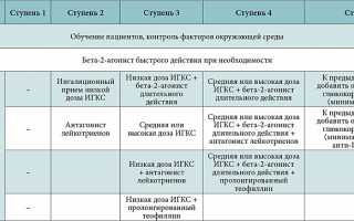 Лечение бронхиальной астмы: особенности и подходы