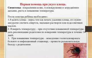 Симптомы укуса клеща у человека