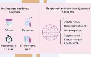 Как увеличить подвижность сперматозоидов