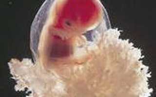 Избавляемся от нежелательной беременности народными средствами