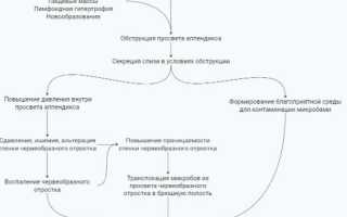 Роль парвовируса в протекании аппендицита