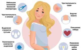 Основные симптомы беременности на первой неделе