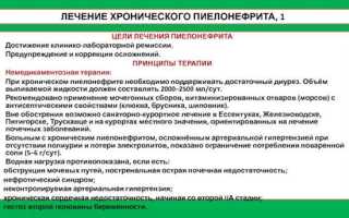 Симптомы пиелонефрита: узнайте и лечите эту опасную болезнь