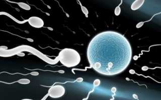 Почему сперма стала коричневой?