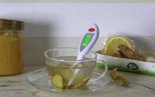 Методы лечения бронхита в домашних условиях