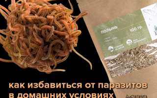 Как избавиться от паразитов в организме человека