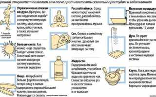 Повышение и укрепление иммунитета в домашних условиях