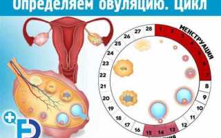 Можно ли забеременеть во время месячных на 3 день