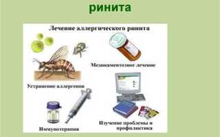 Чем лечить аллергический ринит