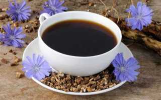 Корень цикория – лечебные свойства