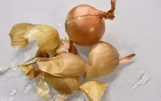 7 волшебных свойств луковой шелухи