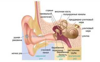 Тубоотит лечение