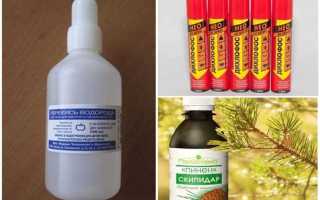 Как избавиться от вшей