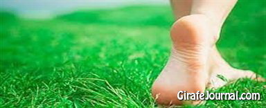 Как лечить плоскостопие 3 степени фото Как лечить плоскостопие 3 степени фото